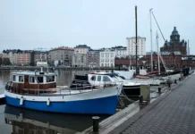 Финляндия, НАТО и Дмитрий Песков — эффективные решения для мира finlyandiya nato i dmitrij peskov effektivnye resheniya dlya mira-infovzor-ru-0