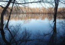 Игорь Шумаков: Росгидромет и МЧС готовы к сложным паводкам igor shumakov rosgidromet i mchs gotovy k slozhnym pavodkam-infovzor-ru-0