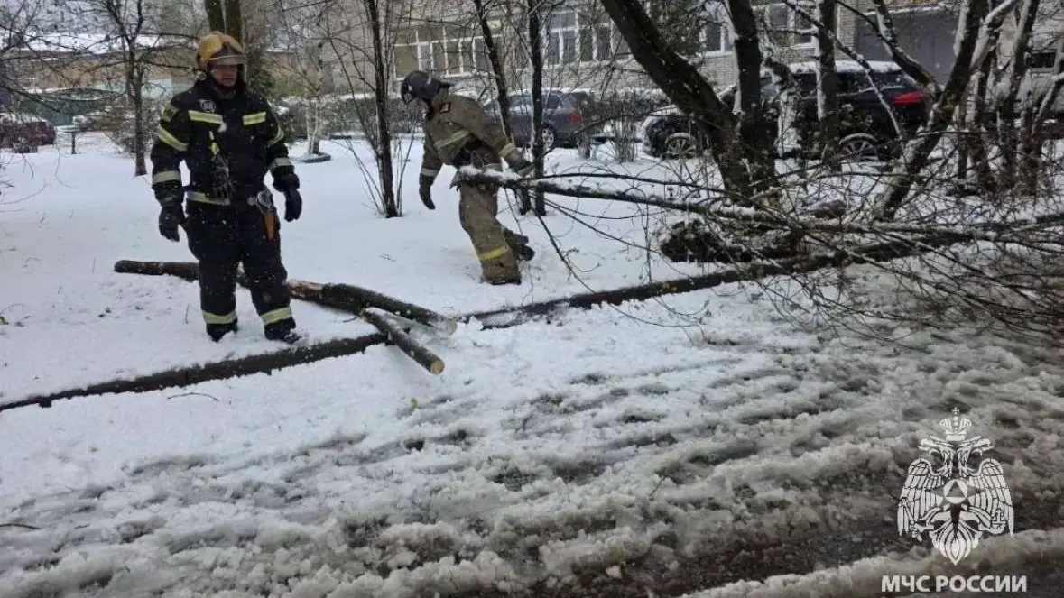 МЧС: Шесть человек пострадали из-за падения деревьев в Подмосковье