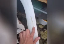 razliv mazuta v tuapse posle ataki dronov na npz-infovzor-ru-0