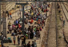 Россиянин делится оптимизмом Индии в Instagram, описывая правила rossiyanin delitsya optimizmom indii v opisyvaya pravila-infovzor-ru-0