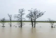 Сергей Меликов курирует восстановление Дагестана после паводков sergej melikov kuriruet vosstanovlenie dagestana posle pavodkov-infovzor-ru-0