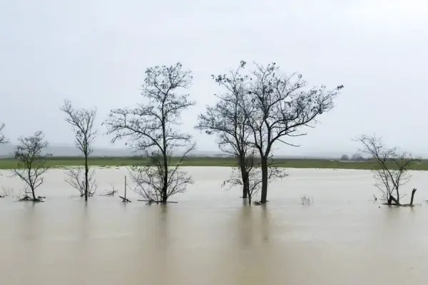 Сильные дожди, обрушившиеся на Дагестан в конце марта, привели к подтоплению домовладений, электроподстанций и ограничению электроснабжения почти в двух десятках районов республики.<br /> (Гянжеви Гаджибалаев / ТАСС)