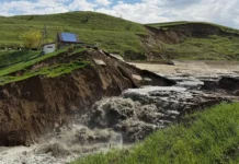 Сергей Меликов отметил стойкость агропромышленного комплекса Дагестана sergej melikov otmetil stojkost agropromyshlennogo kompleksa dagestana-infovzor-ru-0