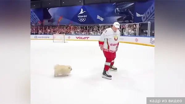 Шпиц Умка выбежал на хоккейную арену вслед за Лукашенко