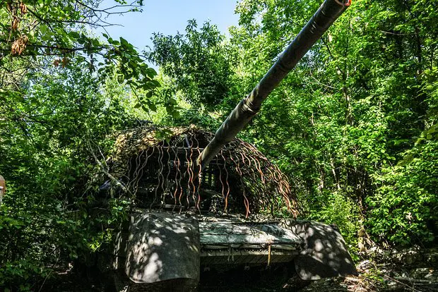 Вводная картинка