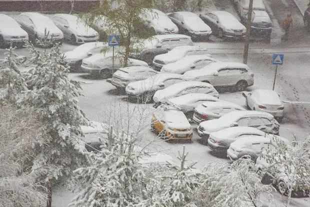 В Москве необычный снегопад уронил дерево на машину Славы Мэрлоу-0