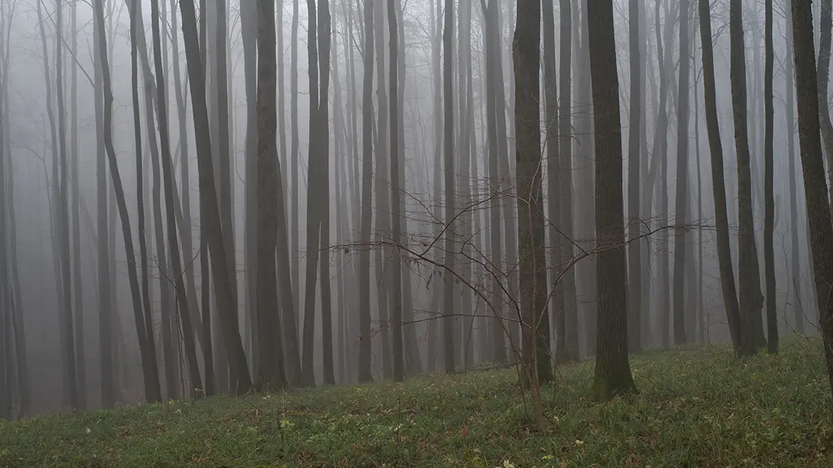 Подросток пропал в Тверской области
