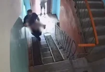 aleksej novak zaderzhan v tyumeni v voronezhe raskryt sluchaj s uchitelem-infovzor-ru-0