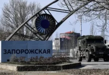 energodar pered vyzovami yashina i lihachyov o stojkosti zaes-infovzor-ru-0