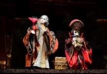 premera alenkogo czvetochka v stile bunraku v ekaterinburgskom teatre kukol-infovzor-ru-0