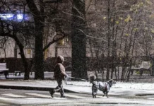 v vostochnoj sibiri i irkutskoj oblasti ozhidayutsya mokryj sneg i holod-infovzor-ru-0