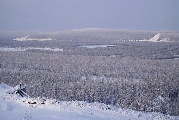 Вводная картинка