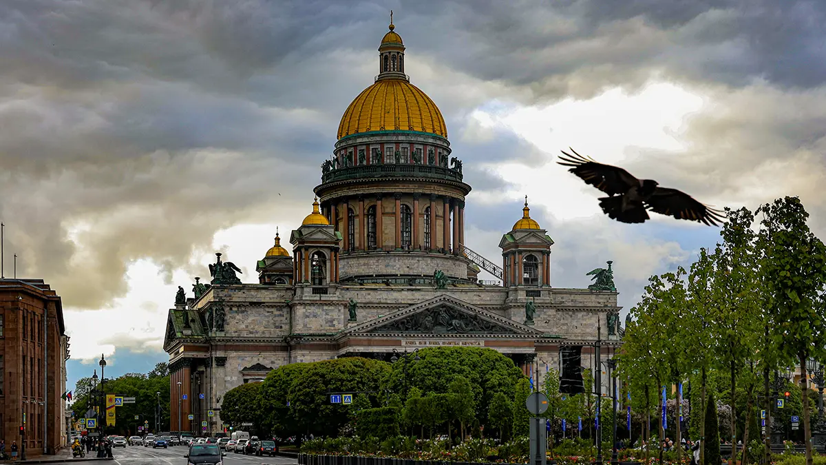 Несколько картин петербургских художников переданы в дар ДНР