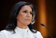 vasilij nebenzya pod davleniem tulsi gabbard proryvaetsya v ssha-infovzor-ru-0