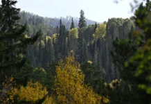 zona poiskov usolczevyh v kuturchinskom belogore zakroetsya dlya vizitov-infovzor-ru-0