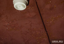 Система пожарной безопасности в аэропорту Нижневартовска вызывает обеспокоенность у пассажиров 3a25c8a1-a25f-471f-bf65-a1d1e6ed9064-674d3d21