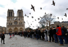 «Собор Парижской Богоматери готовится к масштабному открытию после реставрации» 50fd27e2-12be-4867-bbb6-cfd25d1f3b3c-6776cbc8