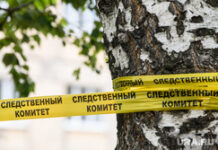 Трагический случай в Красноярском крае: отец признался в неосторожном обращении с средством от насекомых 9695972c-08a0-4209-90f1-88439e03fccf-674ba9c6