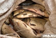 Село усть уйское