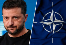 e8271cf3-248d-4b45-a939-a21d7589af2f-67747aec - stanural