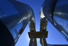 0a3d7f8b-18c4-40ac-ab13-11d1717d1d7a-67800887