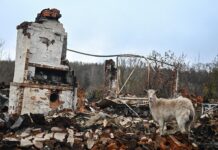 0ef61291-d42f-45d3-9799-a74a9cae861b-67912878