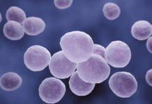 Симптомы и лечение микоплазменной пневмонии: что нужно знать 1ede6c26-b2af-4fbd-9da2-5bd01e70abb8-679146d3