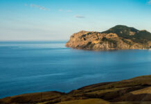 20826ff1-a9d4-475d-b961-9bdd8968bc84-677941c6