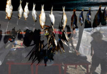 320b0c8c-c4a5-4cf5-8106-e436dde056e2-6797b3db