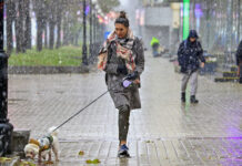 Прогноз погоды в Москве и Подмосковье на предстоящие выходные 33a0e4a6-da7f-40a7-9be2-6420e233a853-6793e4ce