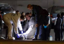 Летчик-перебежчик, угнавший Ми-8, обрел последний приют на юге Испании 43e72eb8-fd4f-4bc8-addf-80ee9601b5bc-67854611