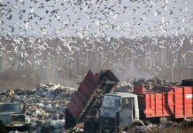 7bb453a5-e890-4305-8a28-d90de09cc132-679ae67b