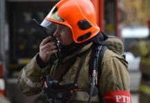 80edb7a6-3909-42b4-97dc-ca31e03acbb9-6786616c