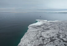 aa6a22f0-b68b-4567-998f-2f64483e418a-6779a07a