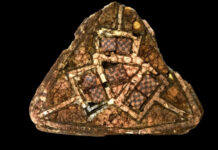 0b00858e-c768-42ac-8292-f850a3c04f7f-67c3e1c1