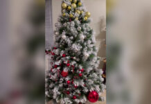 Предновогодние забавы: елка знаменитого рэпера вызвала дискуссию в сети 1121b862-11f2-410d-9237-3e02fd15de13-67c093fe