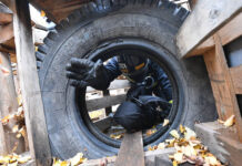 Новые правила для авиационных работ ДОСААФ 3fe67ef5-3896-45e8-8373-cf78e8b46004-67aab1b3