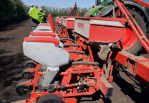 Развитие отечественного семеноводства: новые вызовы и перспективы 485542a7-884c-4a73-8082-21431e9672ab-67ae6bc3