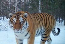 4f8e17eb-4349-402a-953b-deb4537d9dff-67c0b215