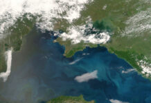 В России активизированы масштабные меры по ликвидации последствий разлива нефтепродуктов в Чёрном море 6dbca51a-d246-4a1a-b0eb-55bb6fe394b7-67c0ac11