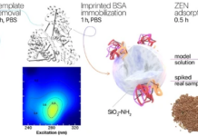 Инновационный метод обнаружения грибковых токсинов: прорыв в защите сельскохозяйственной продукции 7ac07648-ea6f-4616-a8f5-402175e73e81-67bceef7