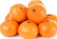 b95c753f-78c0-486d-9620-b70b8586ce7b-67c0da47