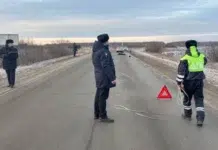 c00158a5-0085-4d2c-ae14-aa7c1928800a-67a8b37f