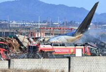 Южнокорейский авиалайнер благополучно вернулся в аэропорт после технической проблемы d0393593-bcac-4805-8718-03b151ac9f66-67c54612