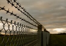 d66a3bfc-02b5-4623-846e-42cccffcad14-67b55d8d