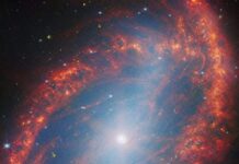 Космический телескоп представил детальный снимок соседней галактики f229a27b-2fc7-4f23-8140-e178003b6375-67be206e