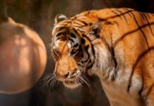 0c46a68b-75e1-4953-b009-51b936b9aa88-67ed71d5