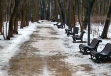 Прогноз погоды для Москвы и Подмосковья радует мягкой зимой 156c8b46-dae3-4c57-b80c-16b047cfbe13-67ec4c70