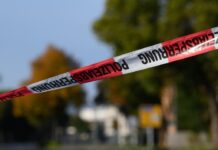 Авиационное происшествие в Калифорнии: оперативная работа спасателей минимизировала последствия 26e05be8-2164-48fd-90f8-c8e9b557341f-67ca83a4